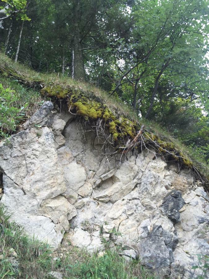 Das Landhaus Puchenstuben Екстериор снимка
